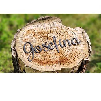 dřevěný nápis josefína